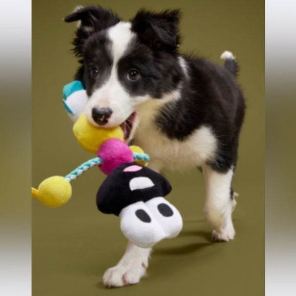 BarkBox dog toy Mr DNA for small dogs - Picture 3 of 3